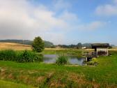  kleiner Weiher bei Weng 